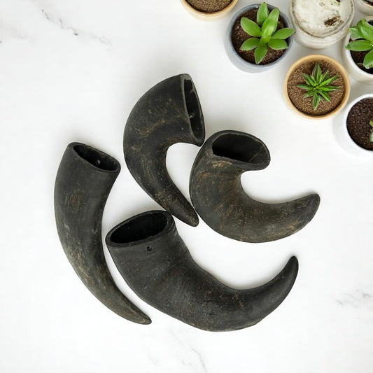 BUFFALO HORN (MEDIUM)