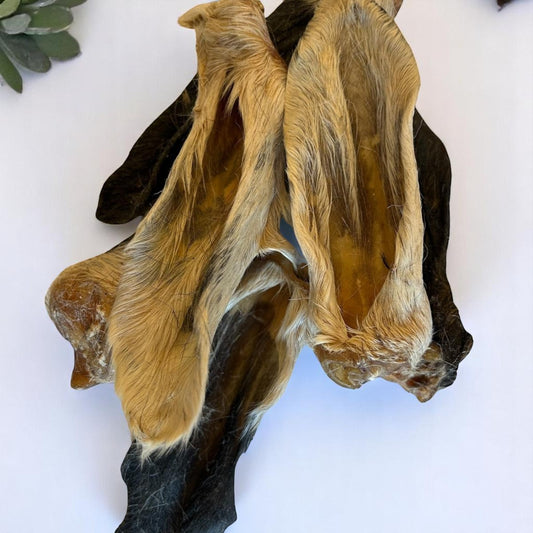 GOAT EARS (WITH HAIR)