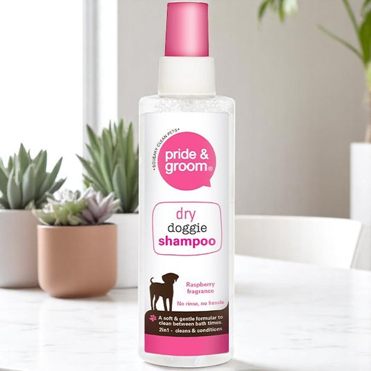 RASPBERRY DRY DOG SHAMPOO 200ML