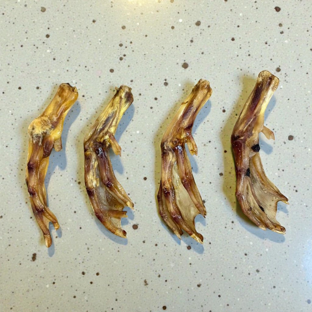 Duck Feet