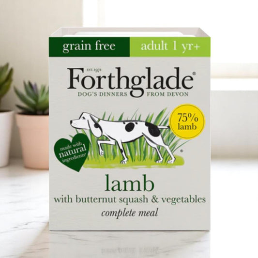 LAMB with Butternut Squash & Vegetables