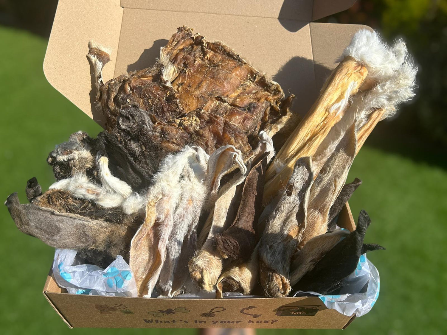 TREAT VARIETY BOXES