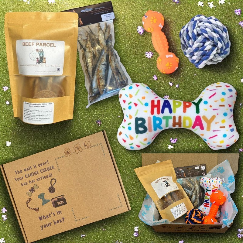 BIRTHDAY PACK