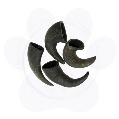 BUFFALO HORN (MEDIUM)