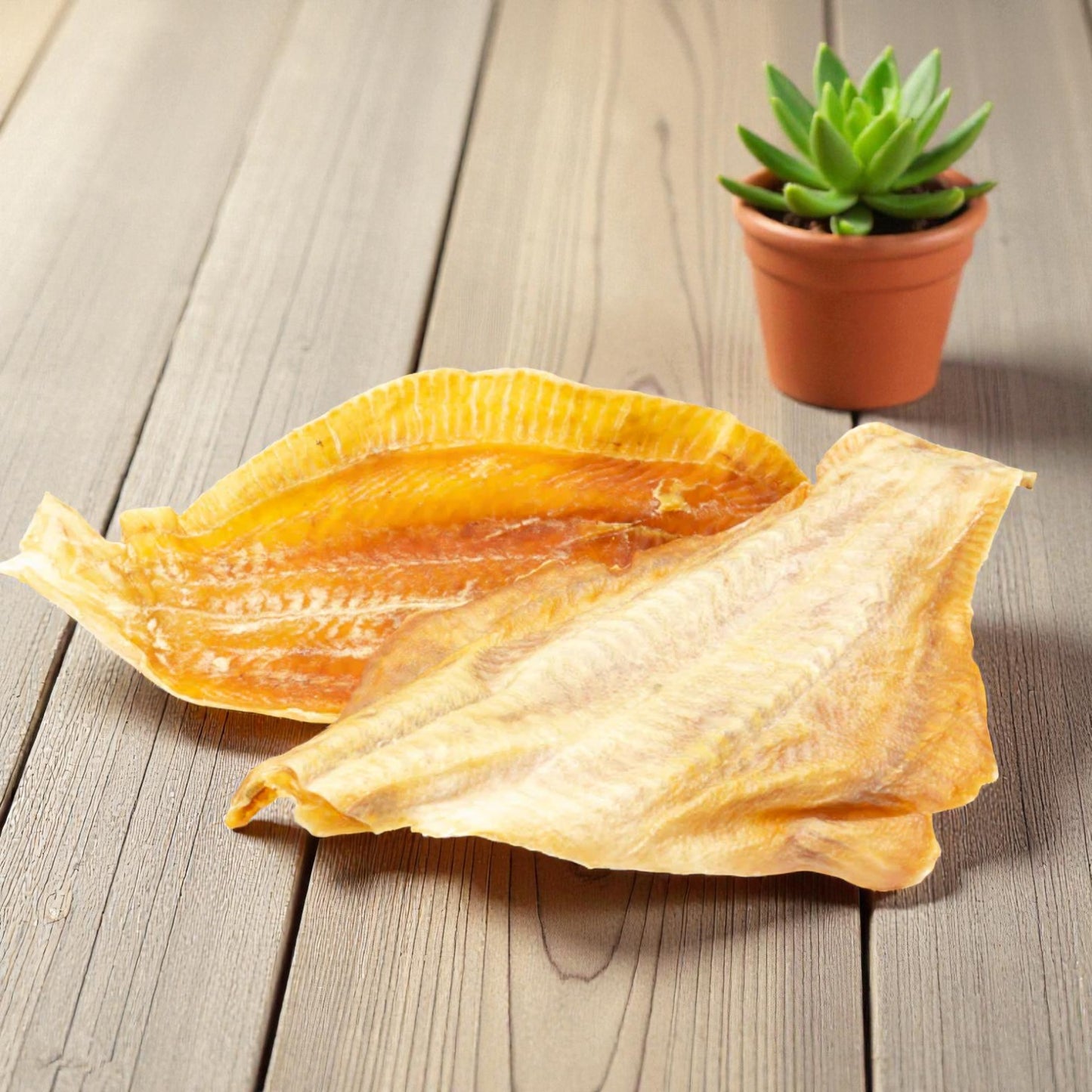 Dried Plaice Fillets