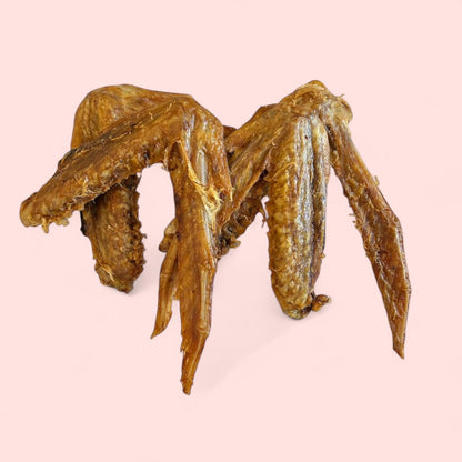 DUCK WINGS