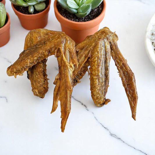 DUCK WINGS
