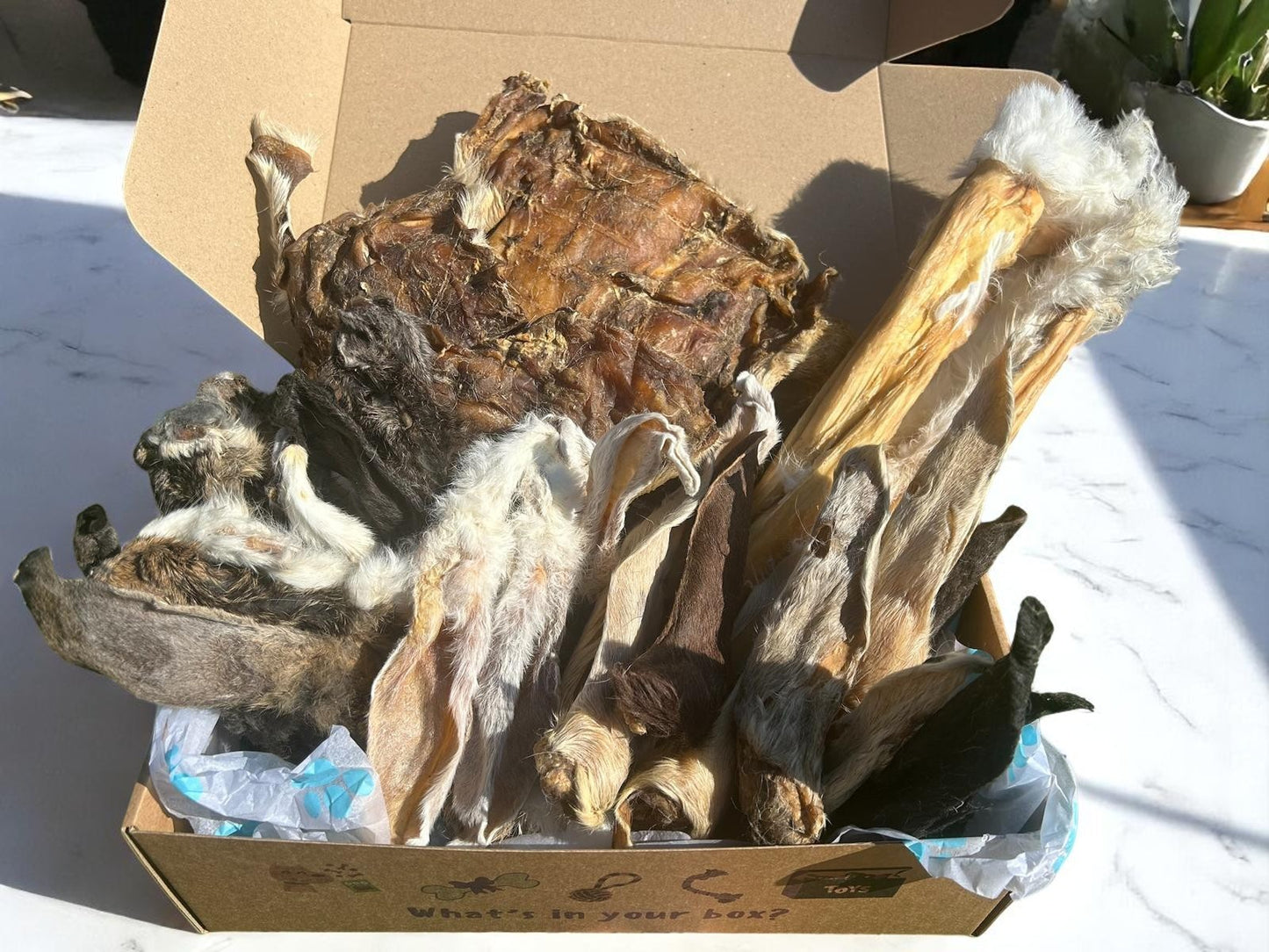 THE HAIRY BOX