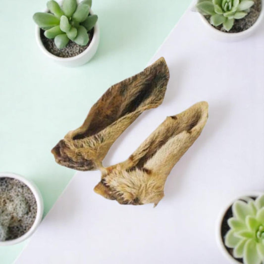 LAMB EARS