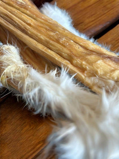 RABBIT SKINS (40-50cm)