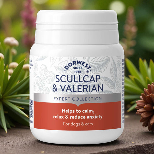 Scullcap & Valerian Tablets