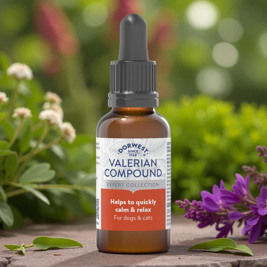 Valerian Compound