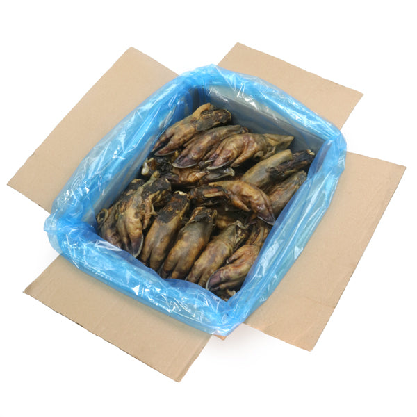 WILD BOAR TROTTER